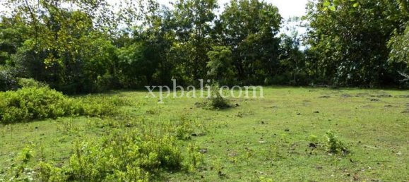5000m² Land in South Kuta, Indonesia No. 4203 4