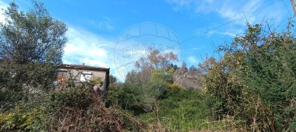 4 غرف نوم منزل في Vieira do Minho, Portugal رقم 176430 4