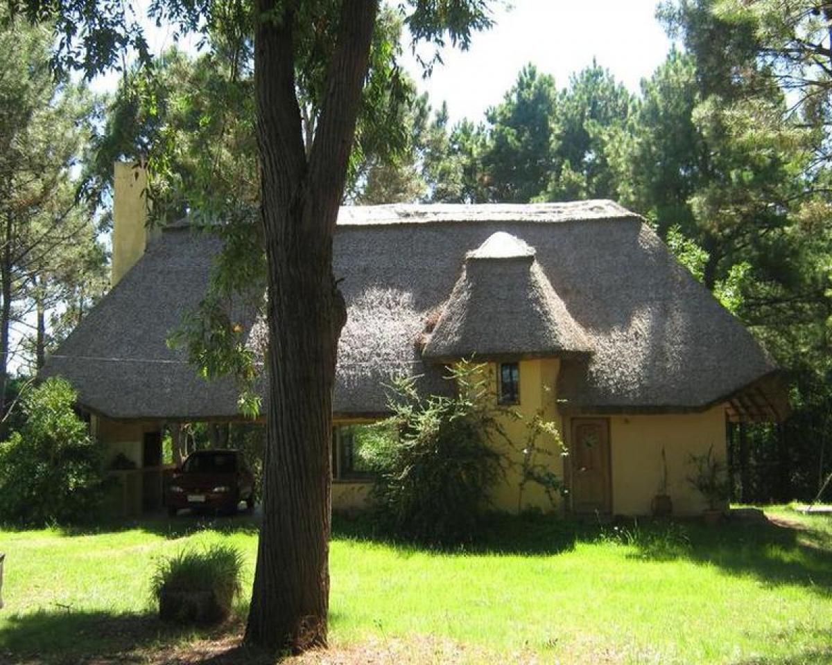  مزرعة في Maldonado, Uruguay رقم 16040