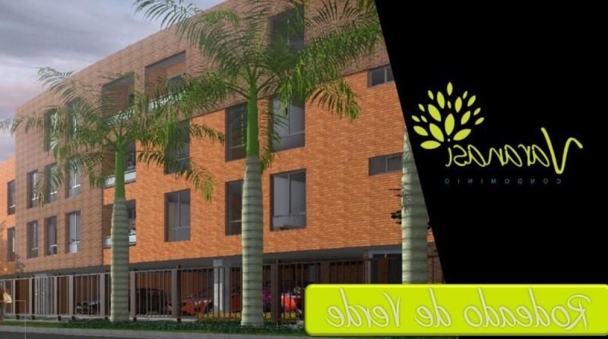 Studio in Valle del Cauca, Colombia No. 6063