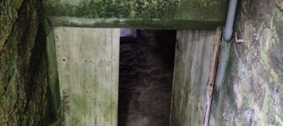 3 chambres Maison à Châtillon-sur-Saône, France No. 92780 12