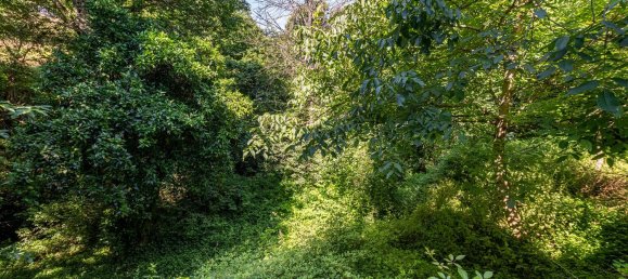 3 bedrooms House in Mondim de Basto, Portugal No. 187535 22