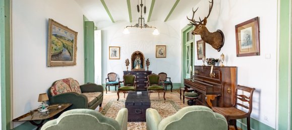 8 Schlafzimmer Haus in Anadia, Portugal, Nr. 29904 41