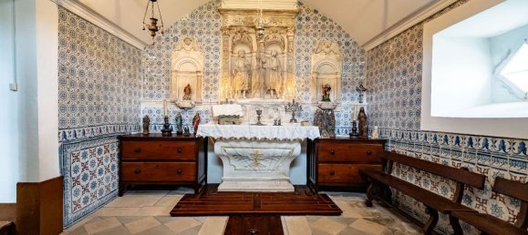 8 Schlafzimmer Haus in Anadia, Portugal, Nr. 29904 25