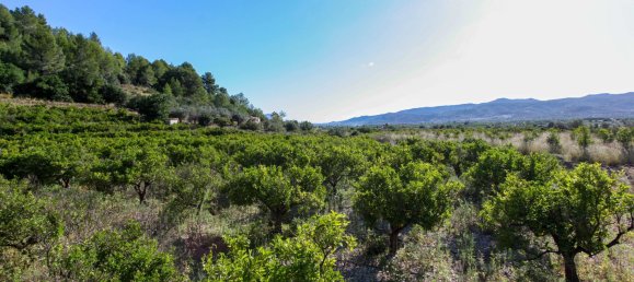 Terreno em Sagra, Spain 10364 m² N.º 93909 2