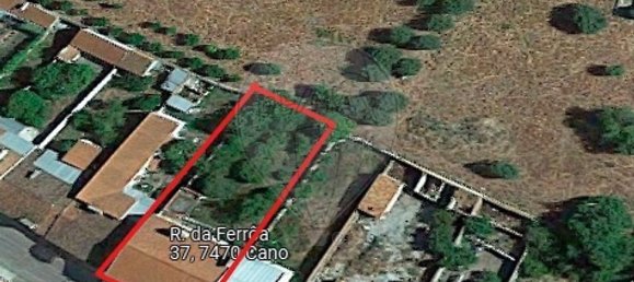 4 bedrooms House in Cano, Portugal No. 18287 14