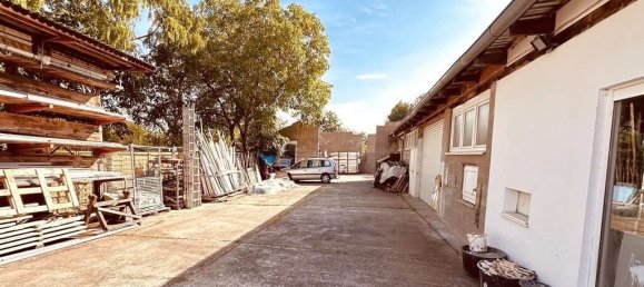 3 rooms Office in Donnersbergkreis, Germany No. 62567 2