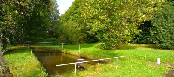 4 غرف نوم منزل في Vulkaneifel, Germany رقم 325422 13