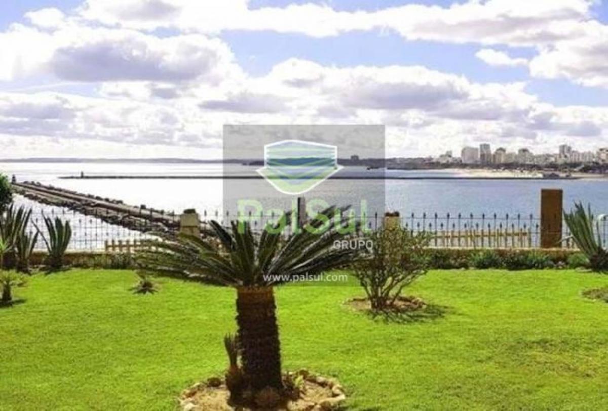 4 bedrooms Villa in Ferragudo, Portugal No. 5751