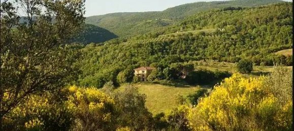 9 rooms Hotel in Orvieto, Italy No. 149731 2