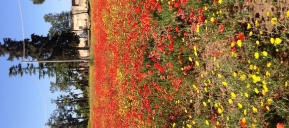 3 bedrooms Villa in Ragusa, Italy No. 40 4