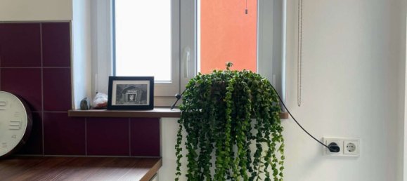 5 bedrooms Townhouse in Pirmasens, Germany No. 24321 5