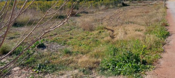 Земельный участок в Лас Торрес де Котильяс, Испания № 166265 2