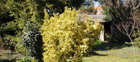 Casa de 4 divisões em Ganserndorf, Austria N.º 134388 13