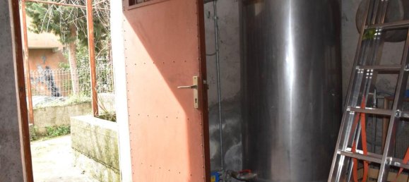 Дом с 11 комнатами в Лингуаглосса, Италия № 32136 34