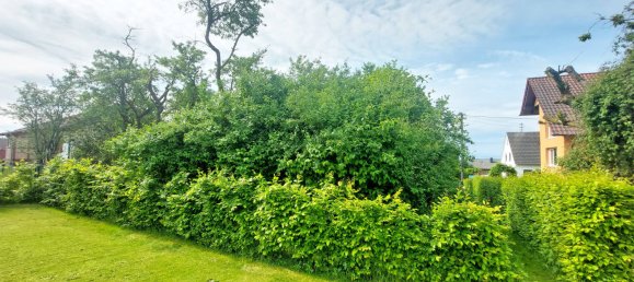 Земельный участок в Рейн-Зиг, Германия № 128888 15