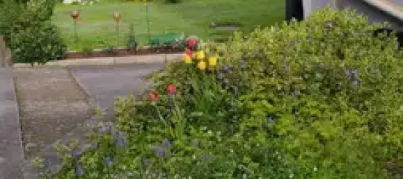 5-Zimmer Haus in Wartburgkreis, Germany, Nr. 67438 16