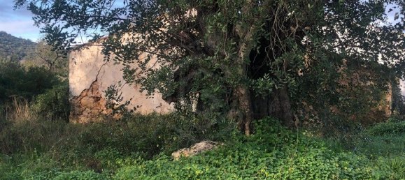  قطعة أرض في Loule, Portugal 15640متر مربع رقم 59956 7