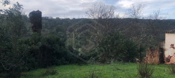  قطعة أرض في Loule, Portugal 15640متر مربع رقم 59956 4