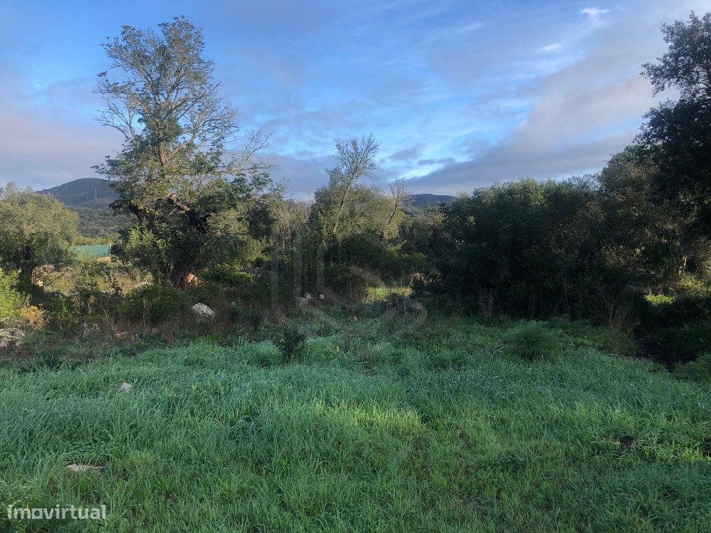  قطعة أرض في Loule, Portugal 15640متر مربع رقم 59956