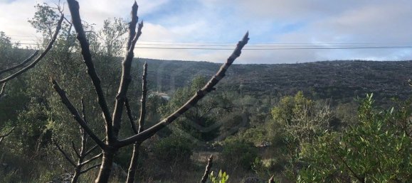  قطعة أرض في Loule, Portugal 15640متر مربع رقم 59956 5