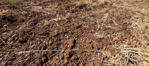  قطعة أرض في Merida, Spain 51400متر مربع رقم 168959 3