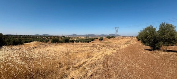  قطعة أرض في Merida, Spain 51400متر مربع رقم 168959 5