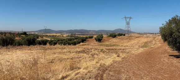  قطعة أرض في Merida, Spain 51400متر مربع رقم 168959 6