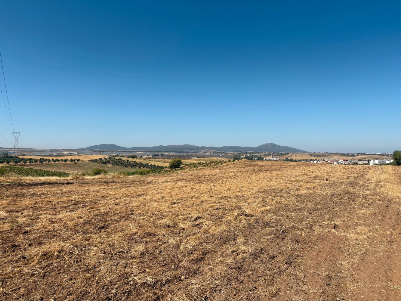  قطعة أرض في Merida, Spain 51400متر مربع رقم 168959