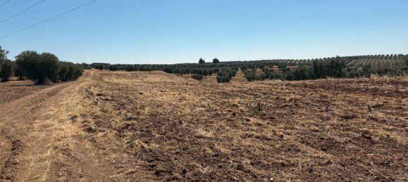  قطعة أرض في Merida, Spain 51400متر مربع رقم 168959 2