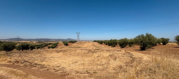  قطعة أرض في Merida, Spain 51400متر مربع رقم 168959 4