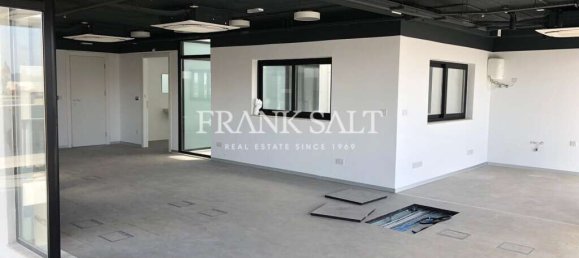 545m² Office in Msida, Malta No. 13399 3