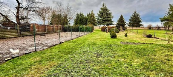 5 rooms House in Elbe-Elster, Germany No. 68542 2