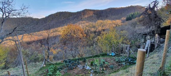 3 rooms House in Molazzana, Italy No. 75644 8