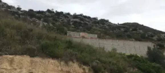  قطعة أرض في Jalon, Spain 2734متر مربع رقم 175420 2