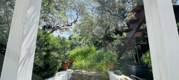 8 rooms House in Pescara, Italy No. 28347 4