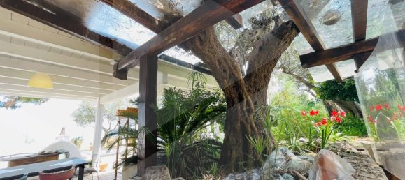 8 rooms House in Pescara, Italy No. 28347 15