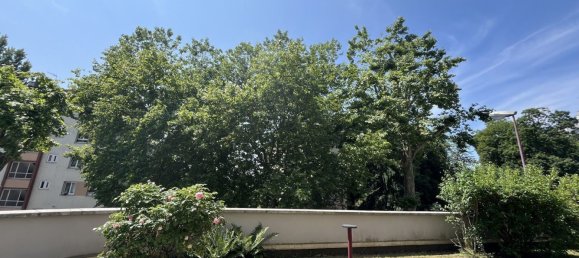 استوديو في Schiltigheim, France رقم 308745 2