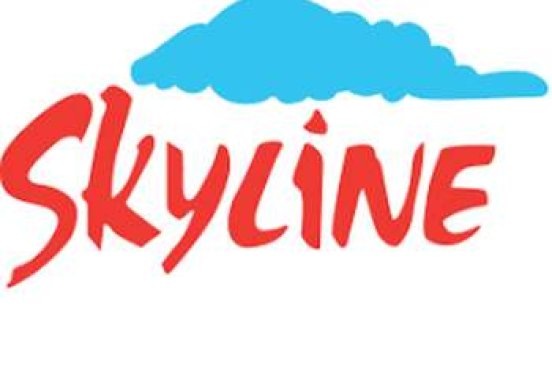 Skyline Builders