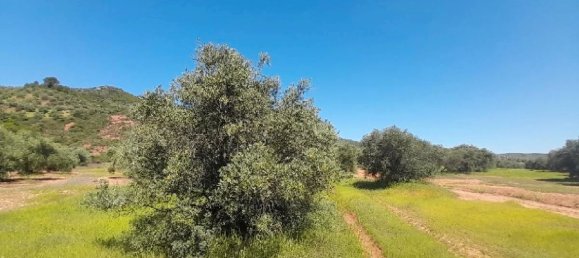 12515m² Land in Andalusia, Spain No. 141641 2