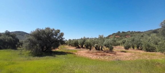 12515m² Land in Andalusia, Spain No. 141641 5