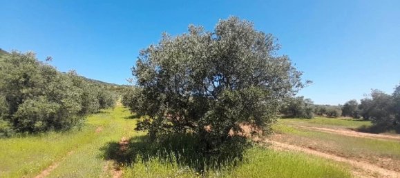 12515m² Land in Andalusia, Spain No. 141641 3