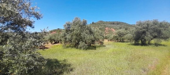 12515m² Land in Andalusia, Spain No. 141641 4
