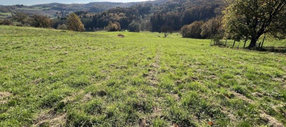 3غرفة منزل في Gerersdorf-Sulz, Austria رقم 245181 18