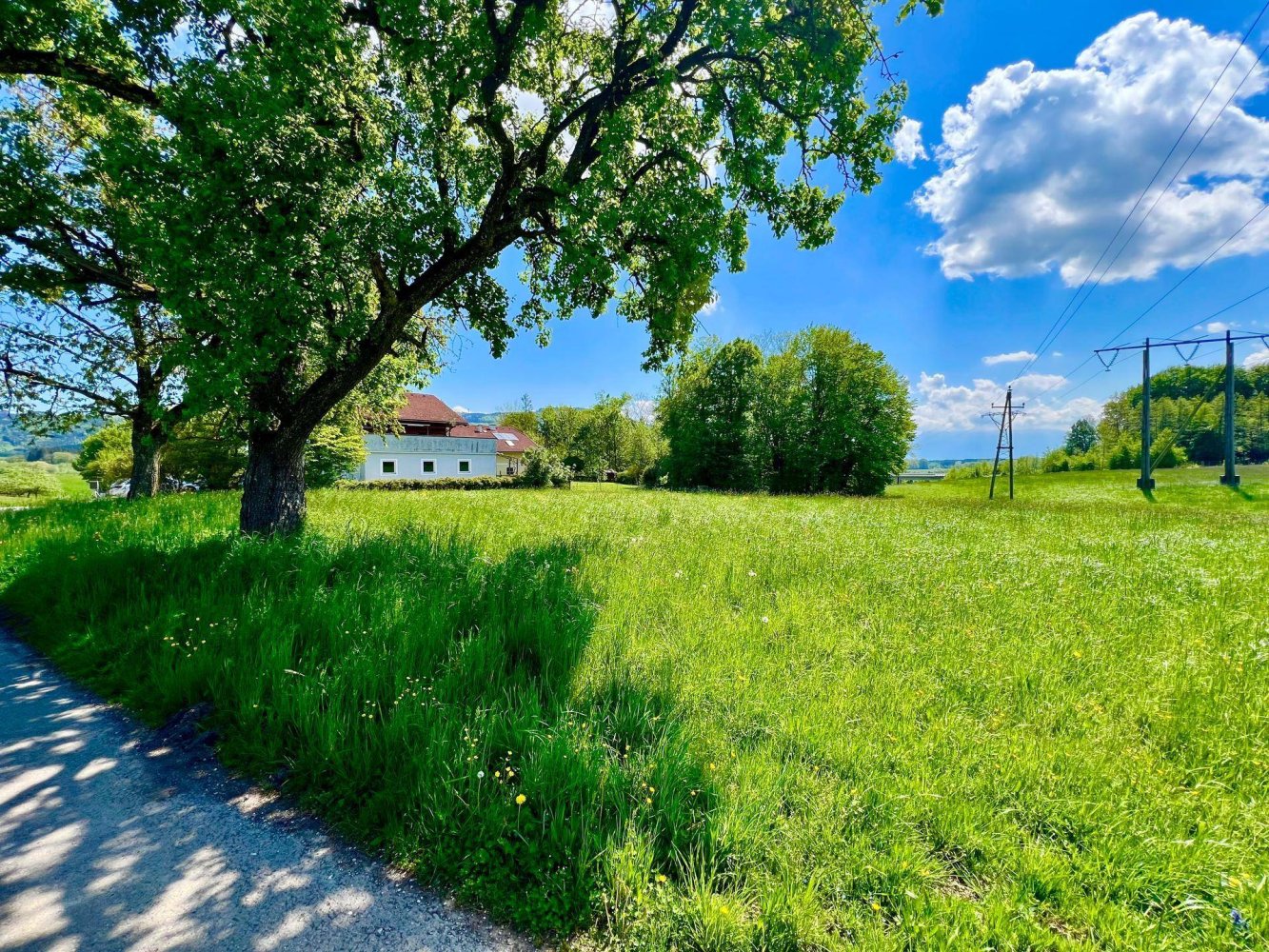1044m² Land in Goming, Austria No. 167097