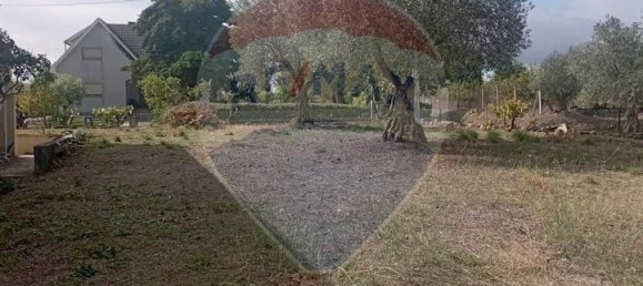 Casa T4 em Bragança, Portugal N.º 169243 11