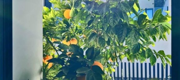 3 bedrooms House in Rojales, Spain No. 183615 23