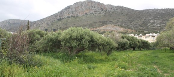 2000m² Hotel in Hersonissos, Greece No. 5049 3