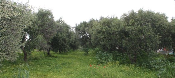 2000m² Hotel in Hersonissos, Greece No. 5049 2