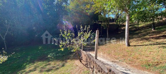 Studio in Palestrina, Italy No. 221612 4